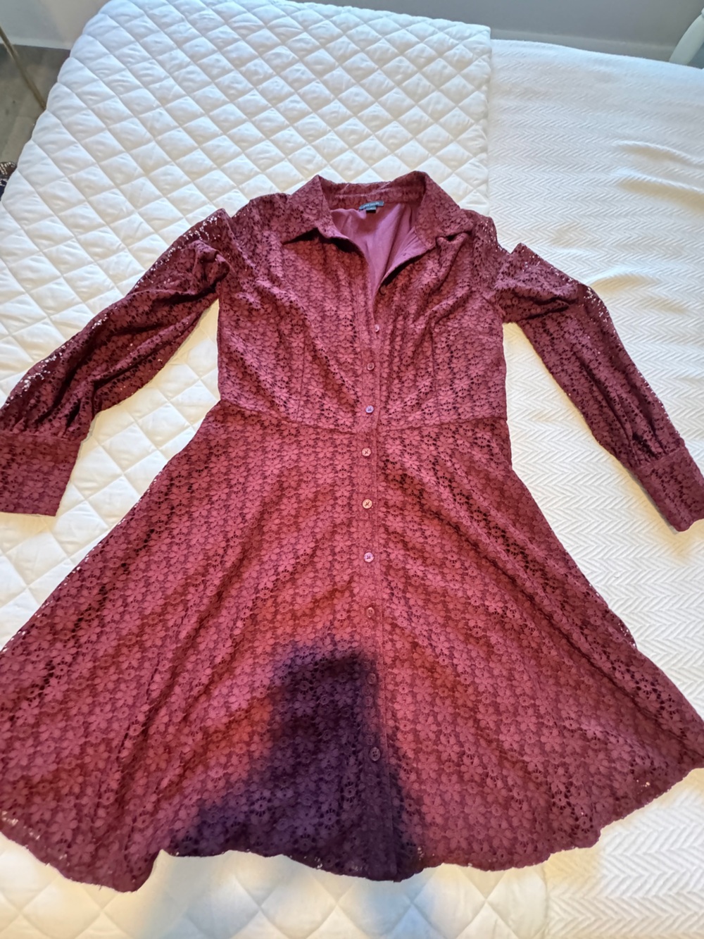 Ann Taylor Lace Button-Front Dress in Burgundy